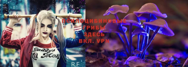 MDMA Алексин