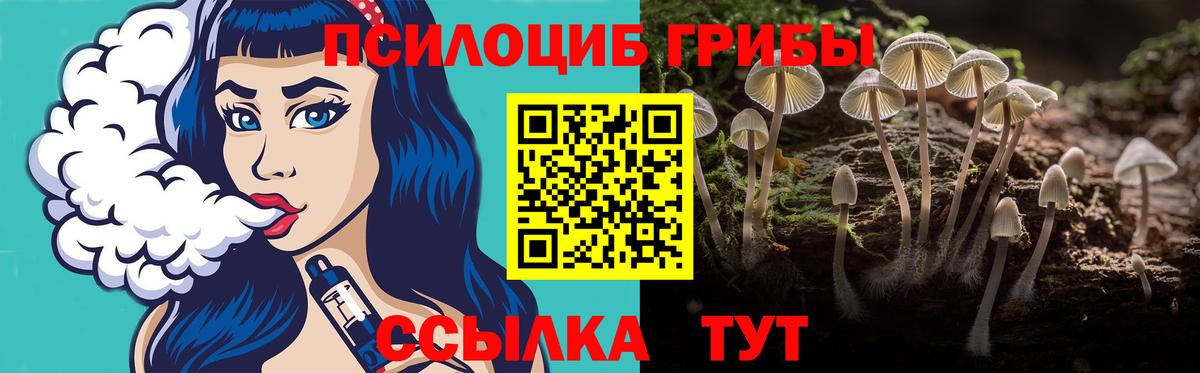 Псилоцибиновые грибы мухоморы Аргун