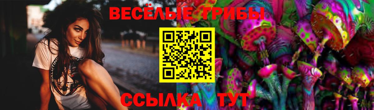 Псилоцибиновые грибы мицелий  купить  сайты  Аргун  Галлюциногенные грибы Magic Shrooms  Вход с VPN 